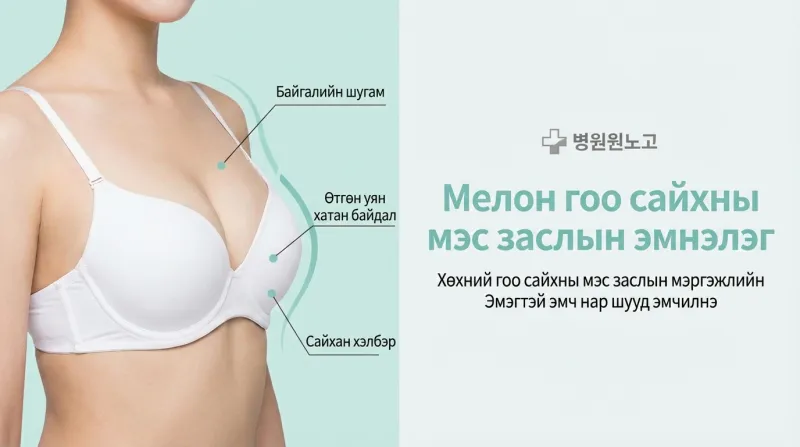 Мелон гоо сайхны мэс заслын эмнэлэг - Хөхний гоо сайхны мэс заслаар мэргэшсэн, эмэгтэй эмч нарын бүрэлдэхүүнтэй хувийн гоо сайхны эмнэлэг