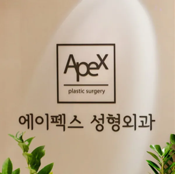 Эйпекс гоо сайхны мэс заслын эмнэлэг - Ёксам метро | APEX 에이펙스성형외과